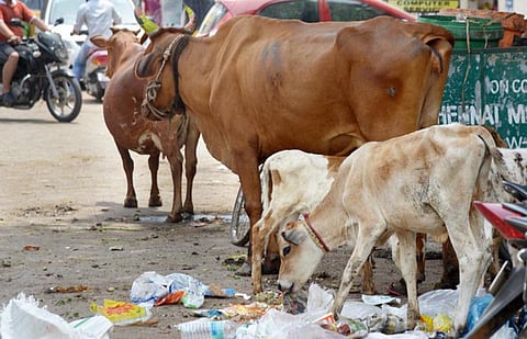 கோப்புப்படம்