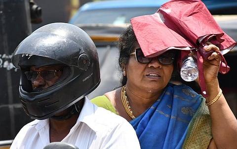 படம்: எஸ். கிருஷ்ணமூர்த்தி