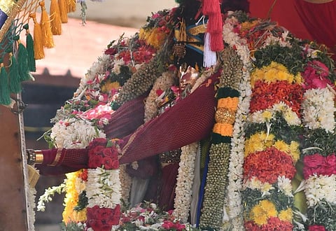 படம்: எஸ் .கிருஷ்ணமூர்த்தி