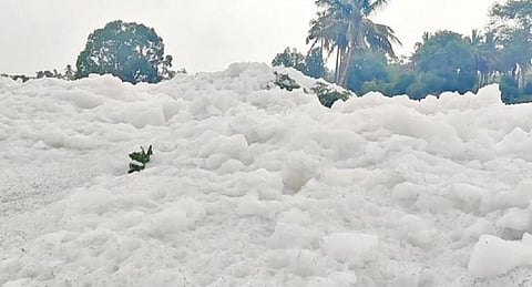 தொழிற்சாலைகளிலிருந்து தென்பெண்ணை ஆற்றில் வெளியேற்றப்படும் ரசாயன கழிவு நீரால் கெலவரப்பள்ளி அணையிலிருந்து திறந்து விடப்படும் தண்ணீர், இரு கரைகளையும் மறைத்தபடி நுரை படர்ந்து செல்கிறது.