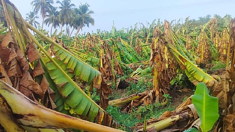 பிரதிநிதித்துவப் படம்