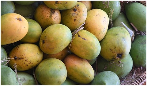 மாம்பழங்கள் | கோப்பு படம்