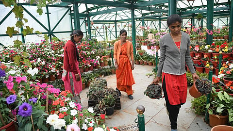 உதகை தாவரவியல் பூங்காவுக்கான நுழைவுக் கட்டணம் ரூ.125 ஆக குறைப்பு