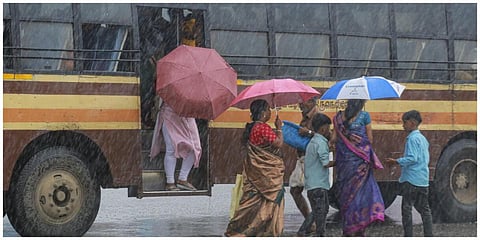தமிழகத்தில் கோடை மழைக்கு இதுவரை 12 பேர் உயிரிழப்பு: அரசு தகவல்