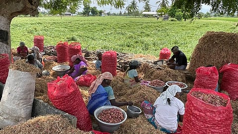 கோப்புப்படம்