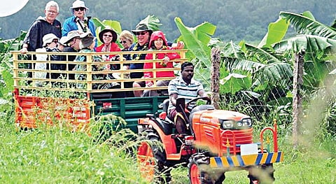 வணிக வழி வேளாண் சுற்றுலா - 14: திருவிழாக்களை ஒன்றிணைக்கும் வேளாண் சுற்றுலா