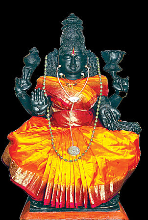 பிணி தீர்க்கும் `டாக்டர்' பெருமாள்: வாலாஜா ஸ்ரீதன்வந்திரி ஆரோக்கிய பீடம்
