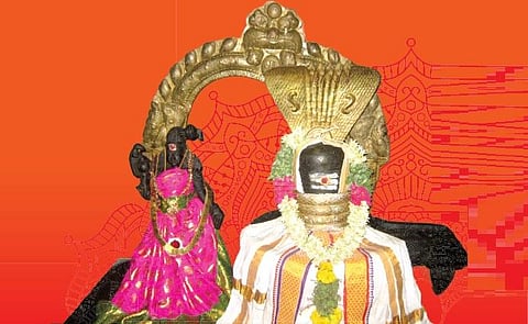 வேண்டும் வரம் அருளும் திருஆலவாயநல்லூர் ஸ்ரீ மீனாட்சி சுந்தரேஸ்வரர்