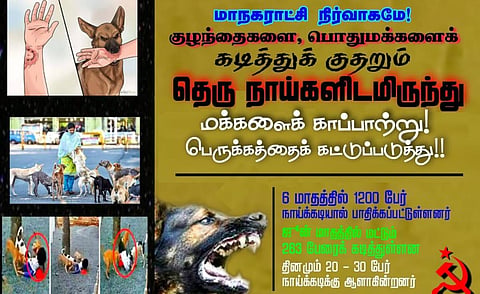 தெரு நாய்களைப் பிடித்து திருப்பூர் மாநகராட்சியிடம் ஒப்படைக்கும் போராட்டம் அறிவிப்பு