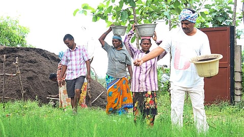 குப்பையில் இருந்து தயாரிக்கப்பட்ட இயற்கை உரத்தை எருவாக பயன்படுத்தி அசத்தல் @ புதுச்சேரி