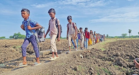 சிதம்பரம் அருகே சிறுகாலூர் கிராம பள்ளி மாணவர்கள்  வயல் வெளி வரப்பில் நடத்து பள்ளிக்கு செல்கின்றனர்.﻿﻿