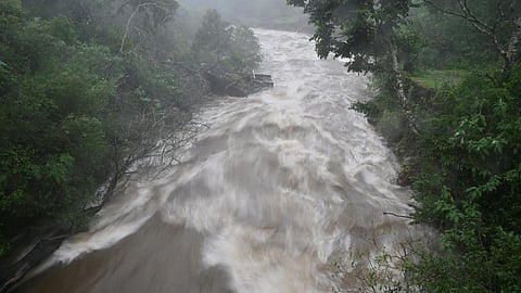 கோப்புப்படம்