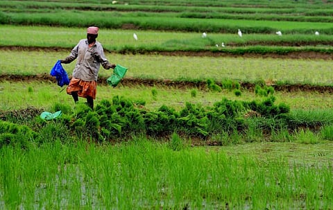 மத்திய பட்ஜெட் 2024-ல் விவசாயம், வேளாண் சார்ந்த துறைகளுக்கு ரூ.1.52 லட்சம் கோடி ஒதுக்கீடு