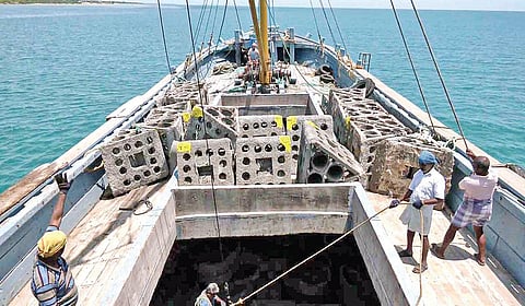 ராமேசுவரம் கடற்பகுதியில் அமைக்கப்படும் செயற்கை பவளப்பாறைகள்.