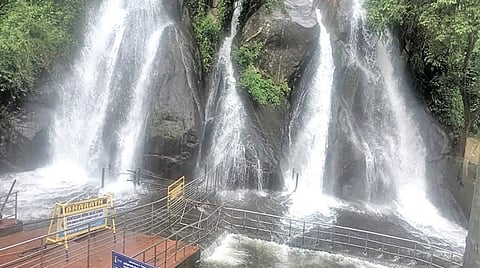 ஐந்தருவியில் தண்ணீர் ஆர்ப்பரித்துக் கொட்டுகிறது.