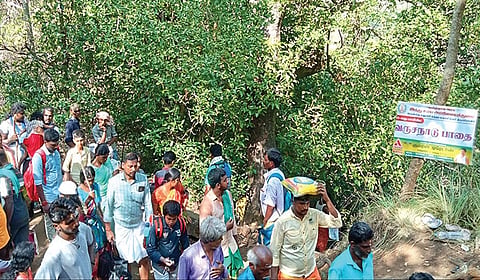 சதுரகிரி தாணிப்பாறை பாதை - வருசநாடு பாதை சந்திக்கும் இடம்.﻿﻿
