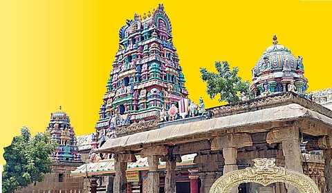குரு, ராகு, கேது தோஷங்கள் போக்கும் ஸ்ரீமுஷ்ணம் பூவராக சுவாமி