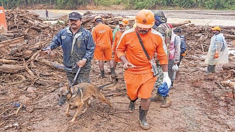கேரளாவின் வயநாடு மாவட்டம் சூரல்மலை பகுதியில் மோப்ப நாய் உதவியுடன் நேற்று மீட்பு பணி நடைபெற்றது.