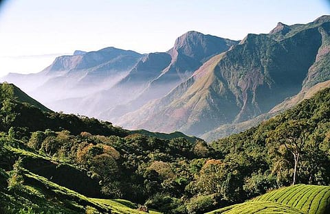 மேற்குத் தொடர்ச்சி மலை