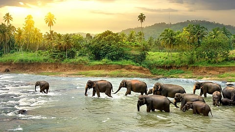 கோப்புப் படம்