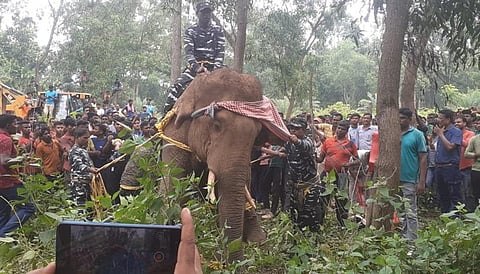 மேற்கு வங்கத்தில் கிராம மக்கள் துன்புறுத்தியதால் காயமடைந்த யானை உயிரிழப்பு