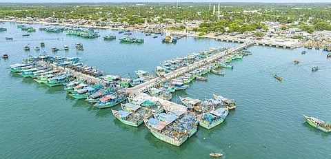 ராமேசுவரம் மீன்பிடி துறைமுகம்.