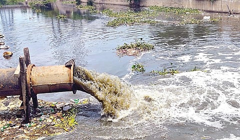 கொருக்குப்பேட்டையில் பக்கிங்ஹாம் கால்வாயில் சுத்திகரிக்கப்படாத கழிவுநீர் விடப்படுகிறது. | படங்கள்: ச.கார்த்திகேயன் |