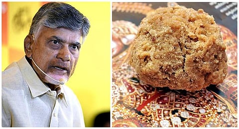 “ஜெகன் ஆட்சியில் திருப்பதி லட்டு பிரசாதத்தில் விலங்குகளின் கொழுப்பு” - சந்திரபாபு நாயுடு ‘பகீர்’ குற்றச்சாட்டு
