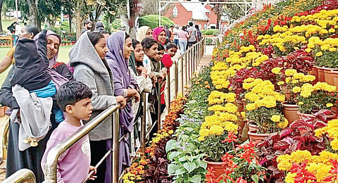 உதகை தாவரவியல் பூங்காவில் நேற்று மலர்களை கண்டு ரசித்த  சுற்றுலாப் பயணிகள்.படம்: ஆர்.டி.சிவசங்கர்