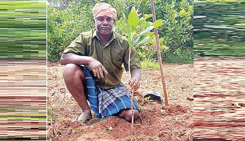 எழுத்தாளன் சும்மா முந்திரிக்கொட்டை பொறுக்குபவன்தான் - நேர்காணல்: கண்மணி குணசேகரன்