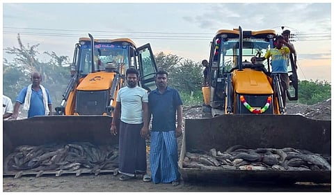 மீன்கள் அழிப்பு