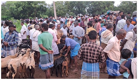 ஆடுகள் விற்பனை