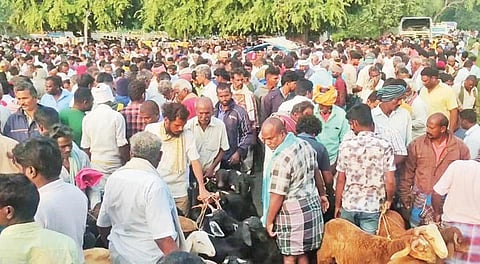 தருமபுரி மாவட்டம் நல்லம்பள்ளி வாரச் சந்தையில் நேற்று, தீபாவளியை யொட்டி ஆடுகள் வர்த்தகம் விறுவிறுப்பாக நடந்தது.
