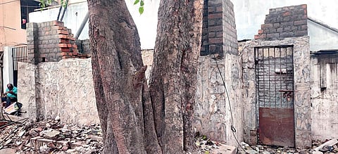 சென்னை மாநகராட்சி ராயபுரம் மண்டலம் சூளை தபால் நிலைய பேருந்து நிறுத்தம் அருகில் கைவிடப்பட்ட நிலையில் உள்ள  மாநகராட்சி பொது கழிவறை கட்டிடம். 
படம்: ச.கார்த்திகேயன்