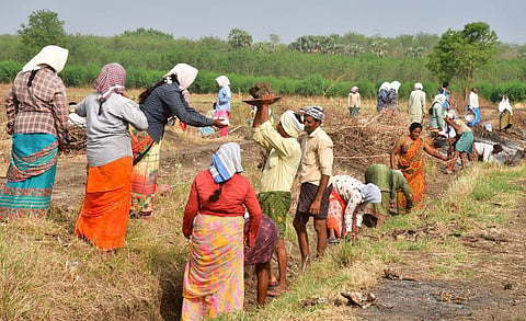நூறு நாள் வேலை திட்டம்: கிராமப்புற முன்னேற்றத்தில் இந்தியாவுக்கே வழிகாட்டும் திட்டங்கள் - தமிழக அரசு பெருமிதம்