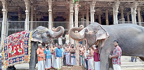 வைகுண்ட ஏகாதசியை முன்னிட்டு ரங்கம் கோயிலில் நேற்று பந்தல்கால் நடும் நிகழ்ச்சி நடைபெற்றது.