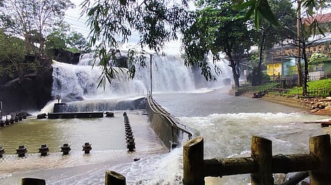 குமரியில் நீடிக்கும் மழையால் திற்பரப்பு அருவியில் கடல் அலைபோன்று ஆர்ப்பரிக்கும் தண்ணீர்.