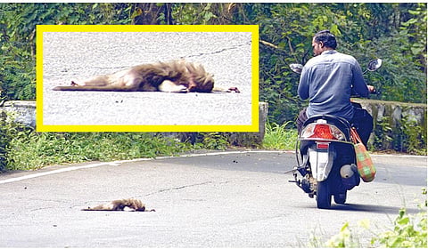 படங்கள்: ஏஞ்சலின் மனோ