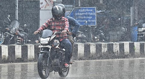 படம்: எஸ்.சத்தியசீலன்