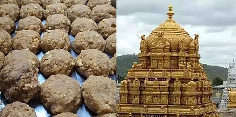 திருப்பதி கலப்பட நெய் விவகாரம்: 2-வது நாளாக சிபிஐ விசாரணை