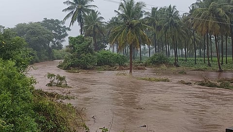 படங்கள் எஸ்.குரு பிரசாத்