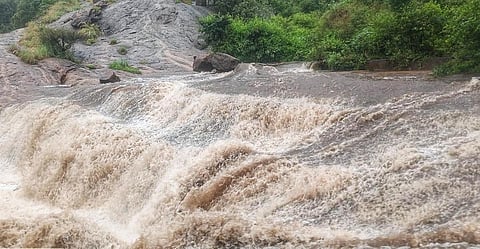 சதுரகிரி மலைப் பாதை ஓடைகளில் காட்டாற்று வெள்ளம் - அதிகாரிகள் ஆய்வு