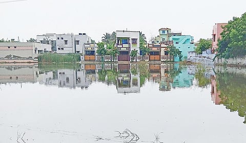 தூத்துக்குடி தபால் தந்தி காலனி 15-வது தெ ரு பகுதியில் குடியிருப்புகளை சுற்றி தேங் கி நிற்கும் மழை நீர்.