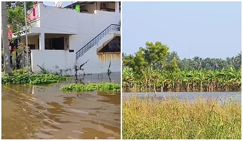 மதுரையில் குடியிருப்புகளை வெள்ளம் சூழ்ந்ததால் மக்கள் தவிப்பு: கால்வாய்களை தூர்வாராததால் பாதிப்பு