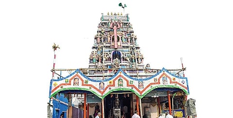 படம்: எஸ்.கிருஷ்ணமூர்த்தி