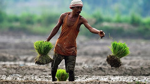 கோப்புப்படம்