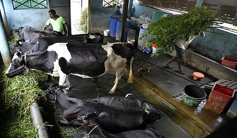கோப்புப் படம்