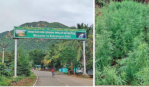கல்வராயன்மலை நுழைவுச்சாலை.