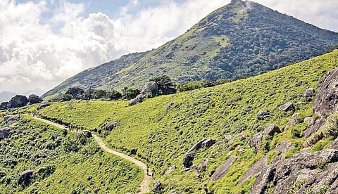 ஏழாவது மலையில் குடிகொண்டிருக்கும் வெள்ளியங்கிரி ஈசன்