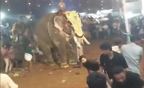 கேரளாவின் மசூதியில் நடந்த விழாவில் மிரண்ட யானை தாக்கி ஒருவர் காயம்